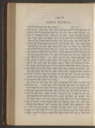 Liber Hoseae