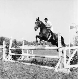 Sportveranstaltung: 2. Pferdeleistungsschau: Veranstalter Reitverein Ahrensburg/Hamburg-Ost: Reiter zu Pferd bei Sprung über Hindernis: Blechtonnen: im Hintergrund Zaun, Fahnenmasten mit Fahnen, Parkplatz, Häuser