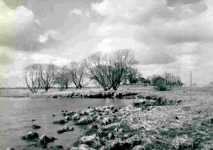 An der Elbe bei Julssand am 19.03.1931.