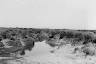 Fluss : Blick auf einen Fluss mit niedrigem Wasserstand