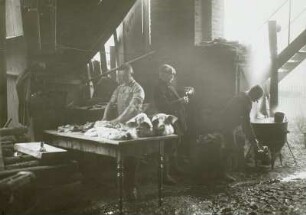 Schweineschlachten auf dem Lande, in der Wurstküche