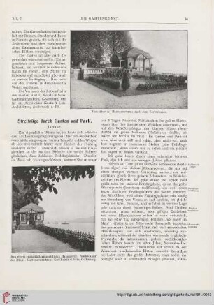 13: Streifzüge durch Garten und Park, [1]