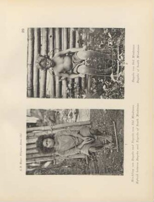 29. 1. Mischling von Bagobo und Negrito von Süd Mindanao. 2. Bagobo von Süd Mindanao = 1. Hybrid between Bagobo and Negrito of South Mindanao. 2. Bagobo of South Mindanao