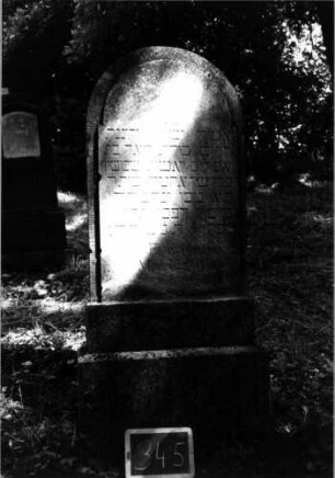 Grabstein 345 [Nir S. 208 Nr. 19.01]