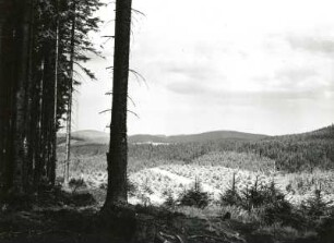 Westerzgebirge. Riesenberg am Tiefen Stolln bei Johanngeorgenstadt. Blick über die Talung des Neudecker Baches nach Norden