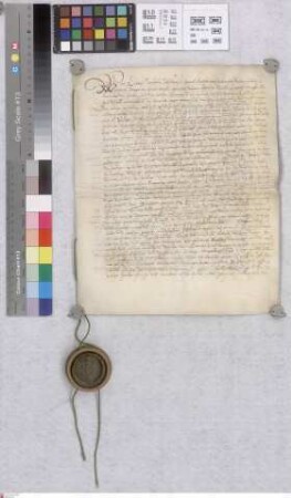 Crumstadt: Revers der Gemeinde Crumstadt über die vom St. Viktorstift vor Mainz bestandene Weide, genannt das Buchtumb. Inseriert der Bestandbrief...