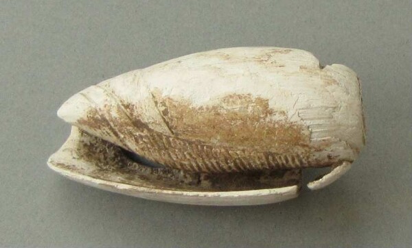 Shell jewellery