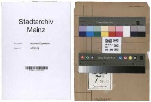 Jüdische Gemeinde Mainz, Israelitischer Hospitalverein Mainz, Jüdischer Hilfsverein