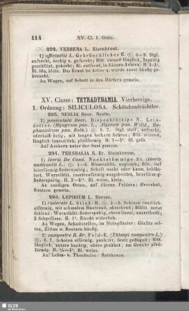 XV. Classe : Tetradynamia. Vierherrige