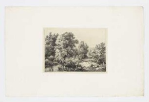 Weg zum Bauernhof, Blatt 1 der Folge "Vier Landschaften"