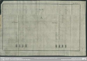 Tab. VIII, Fig. 98