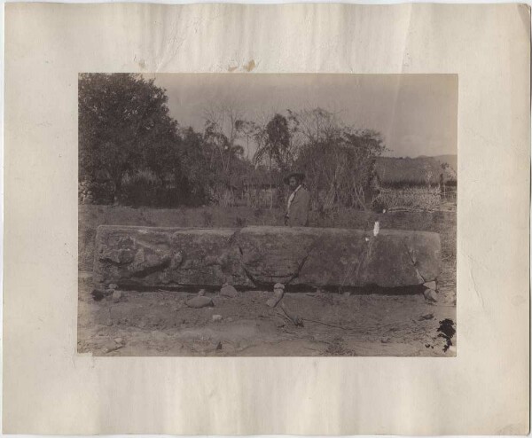 Stèle 7, face avant. Homme debout derrière la stèle. Village de Copán en arrière-plan.