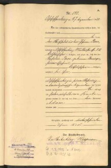 Standesamtsbuch der Stadt Aschaffenburg: Geburten 365/1900 - 184/1901