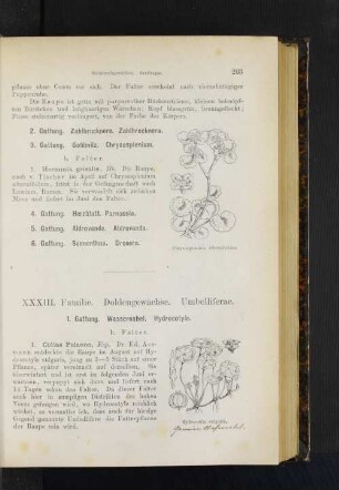 4. Gattung. Herzblatt. Parnassia. 5. Gattung. Aldrovande. Aldrovanda. 6. Gattung. Sonnenthau. Drossera.