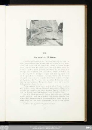 XII. An uralten Stätten.