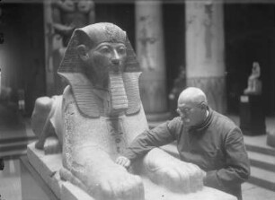 Sphinx der Königin Hatschepsut