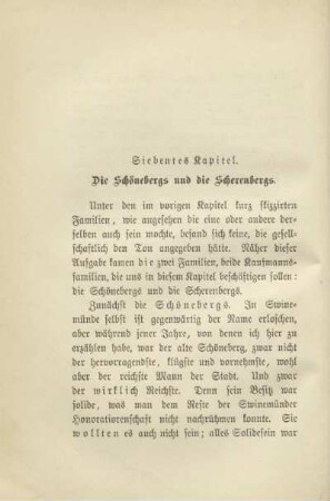 Siebentes Kapitel. Die Schönebergs und die Scherenbergs