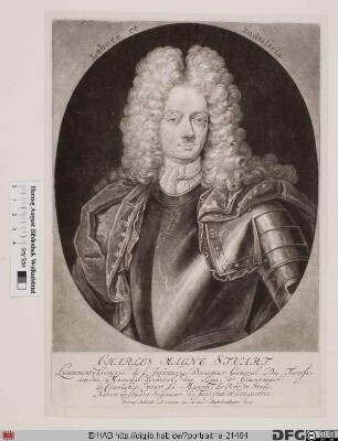 Bildnis Carl Magnus Baron Stuart