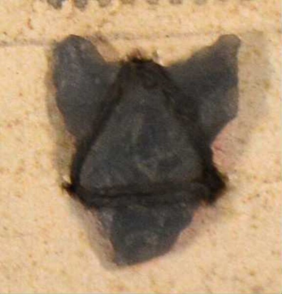 Stone arrowhead