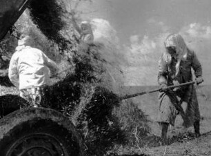 Romadorf, Erbsendrusch in einer landwirtschaftlichen Kooperative : Baltschik (Bulgarien). Romadorf, Erbsendrusch in einer landwirtschaftlichen Kooperative. Ausschnitt aus: df_wgs_0000210