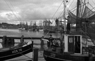 Husum: Hafen, Fischer