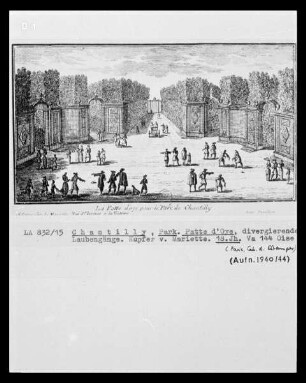 Chantilly, Schlosspark, Patte d'Oye, divergierende Laubengänge