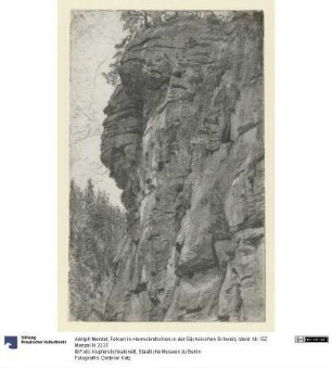 Felsen in Herrnskretschen in der Sächsischen Schweiz