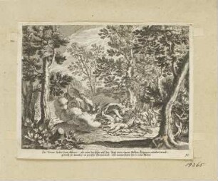 Venus betrauert den Tod von Adonis, Blatt 10 der Folge "Historische und mythologische Darstellungen"