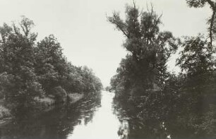 Donaueschingen. Die junge Donau