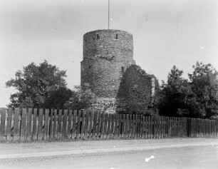 Drususstein, Mainzer Zitadelle