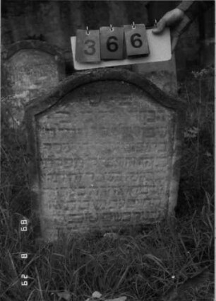 Grabstein 366 (Index: 100107826) Material: hellgelber Sandstein Zustand: stark verwittert, eingesunken, angeschlagen, teilweiser Textverlust Maße HxBxT: 72x58x12 cm Beschreibung: Stele mit geschwungenem Bogenabschluß, Schriftfeld eingetieft: Grabstein 366