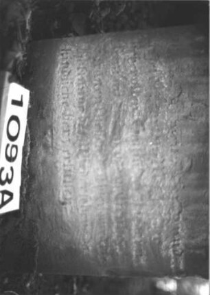 Grabstein 1093 (Index: 99899748) Material: Sandstein Zustand: Sockel völlig verwittert, hebr. Inschrift gut erhalten Maße HxBxT: 134x52x25 cm Beschreibung: aufgesockelte Stele mit flachem Giebeldach, darauf Voluten und Blattornamente Symbolik: Voluten, Blätter: Grabstein 1093A