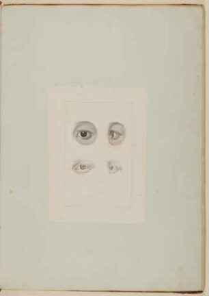 Darstellungen des menschlichen Auges, darunter das Auge eines von Albinismus betroffenen elfjährigen Mädchens, frontal und im Profil gesehen [Nicht verwendete Augenstudie sowie Vorzeichnung zu Samuel Thomas Soemmerring, Abbildungen des menschlichen Auges, Frankfurt am Main 1801, Tafel I ("schattierte" Darstellung), Fig. 7 und Fig. 8]