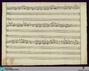 Sonatas. Sketches - Mus. Hs. Molter Anh. 15 : e; BrinzingMWV 10.40