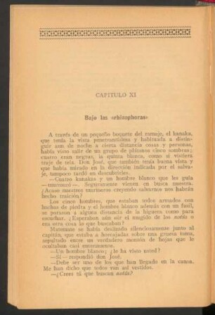 Capítulo XI - Bajo las "rhizophoras"