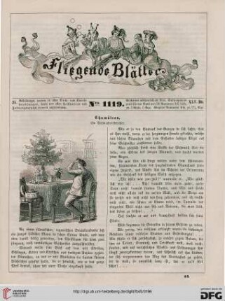 Nr. 1119