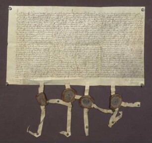 Familienvertrag über die Rosenberg'schen Besitzungen zu Boxberg, abgeschlossen durch Michael, Jörg, Arnold und Friedrich von Rosenberg.