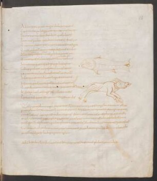 Federzeichnungen Sternbilder: Piscis, Canis