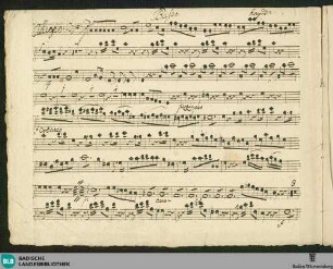 Symphonies - Don Mus.Ms. 2115 : C; Hob I:63