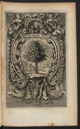 Nil fructus floribus obstat