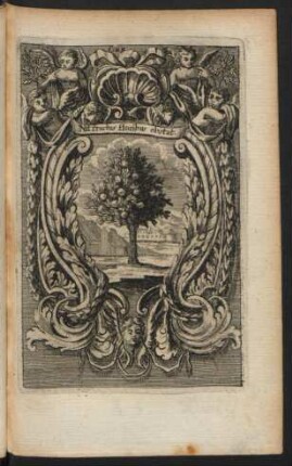 Nil fructus floribus obstat