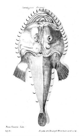 Tab E1