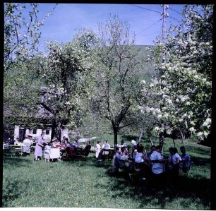 Vogtsburg: Gartenlokal unter Blüten