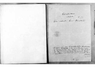 Melchior Fieser, Konstanz, an Johann Baptist Bekk: Politische Lage im Seekreis, 06.03.1848, Bl. 29 - 30.