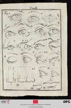 Tab. II [Augen, Mund, Nase (Schemata; div. Ansichten)]