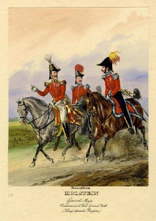 Uniformbild, Offiziere der dänischen Armee