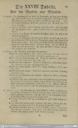 Die XXVIII Tabelle. Von den Muskeln oder Mäuslein