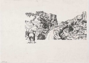 Hansjakob, Gottfried; Frankfurt am Main; Frankfurter Zoo - Tierhaltung im Zoo (Perspektive)