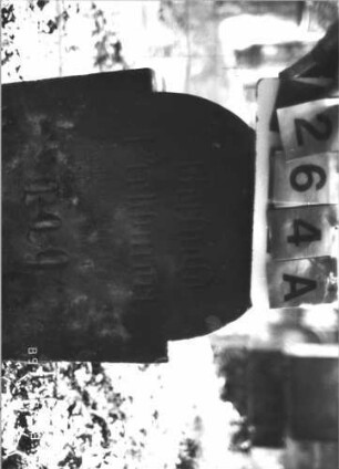 Grabstein 264 (Index: 99609900) Material: Sandstein Zustand: verwittert, leicht eingesunken Maße HxBxT: 70x50x12 cm Beschreibung: Stele, eingezogener Rundbogenabschluß, Schriftfeld eingetieft Besonderheit: Kindergrab: Grabstein 264A