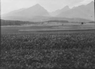Berglandschaft : Blick über eine Wiese auf einen Wald mit hohem Gebirge im Hintergrund